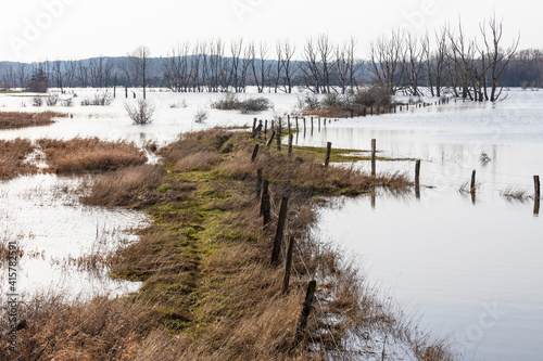 Überflutungsgebiet Bislicher Insel bei Xanten im Winter
