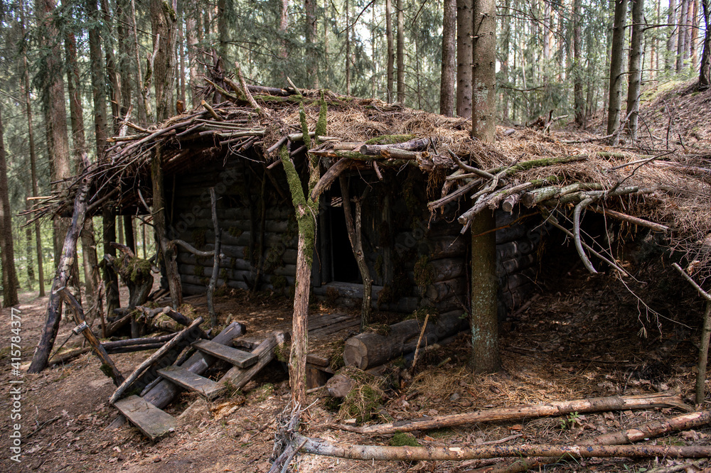 Cozy wooden hovel made of moss and branches in the forest Cozy wooden hovel made of moss and branches in the forest