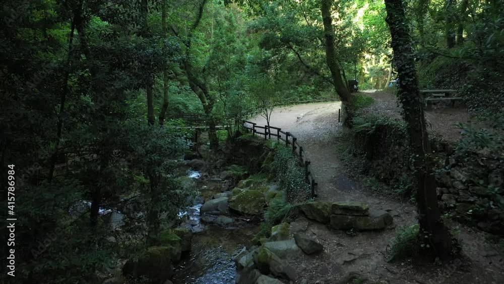 Mysterious Forest With Lush Trees And Vegetation At Serra da Cabrera Near Cascata da Cabreia In Portugal. - Pullback Shot Mysterious Forest With Lush Trees And Vegetation At Serra da Cabrera Near Cascata da Cabreia In Portugal. - Pullback Shot