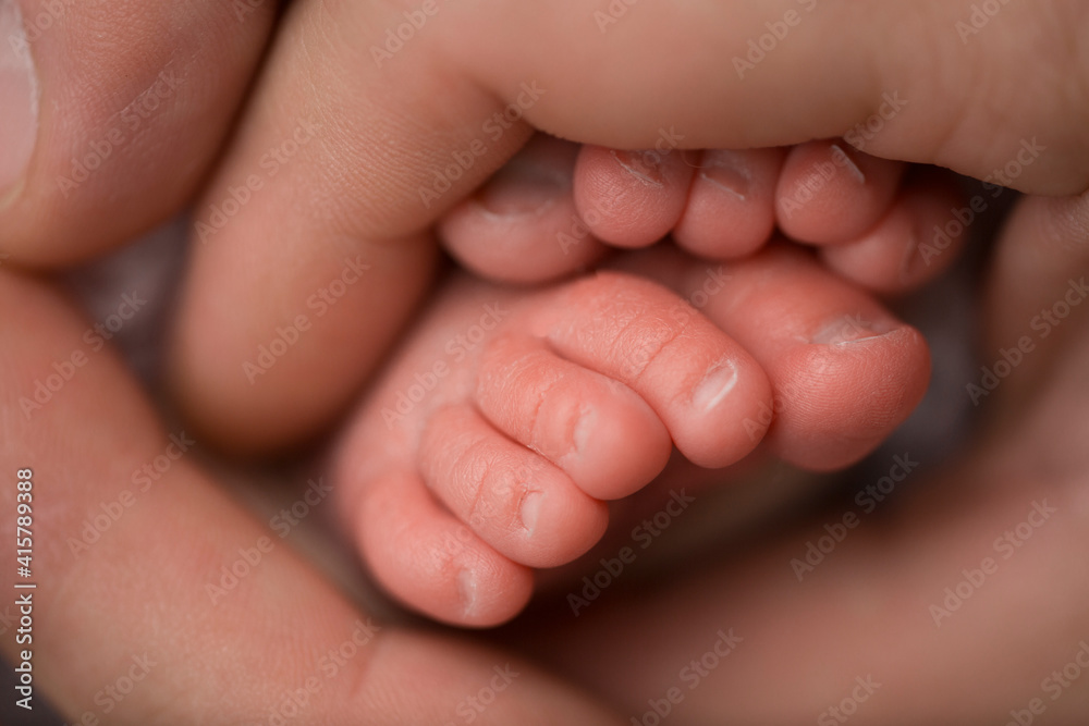 Loving parent hold baby's legs. Happy childhood. Parental care. Concept of a happy family. Loving parent hold baby's legs. Happy childhood. Parental care. Concept of a happy family.