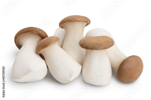 King Oyster mushroom or Eringi isolated on white background with clipping path and full depth of field.