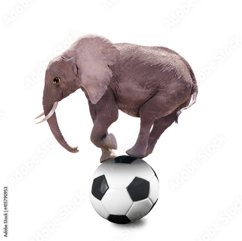 Photograph of an Elephant standing on football ball sport mixed-media concept