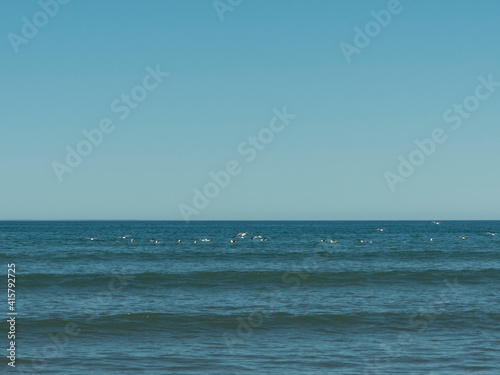 Gaviotas sobrevolando el mar © Rodrigo_fotos1