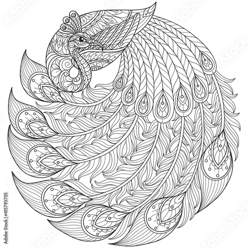 Beautiful Peacock. Hand drawn sketch illustration for adult coloring book