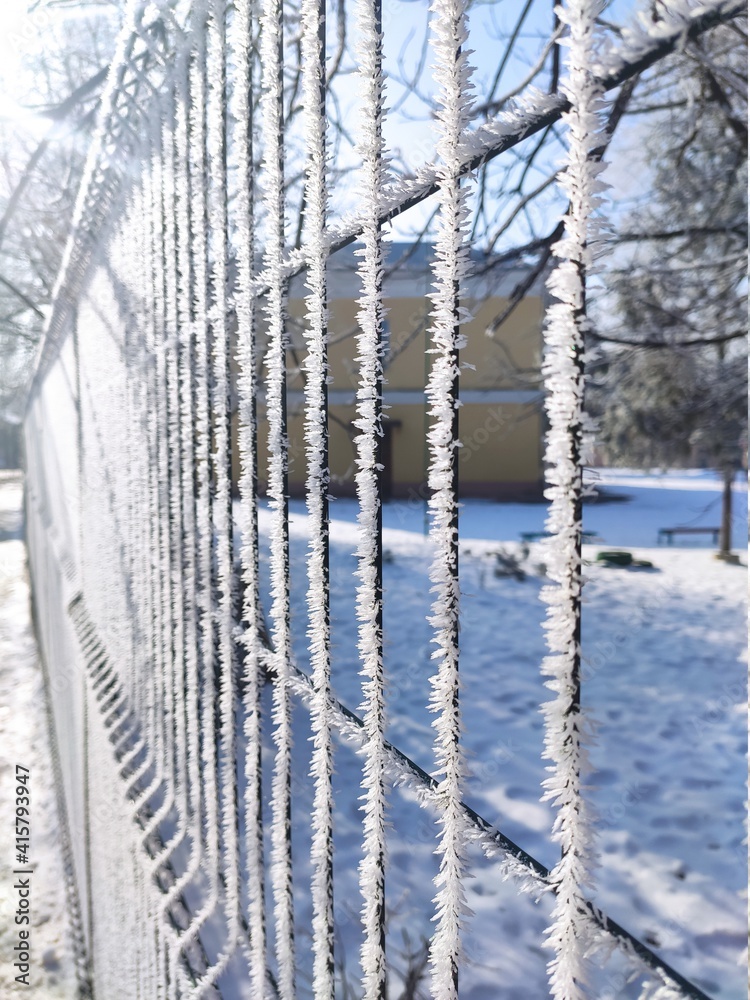 fence in winter