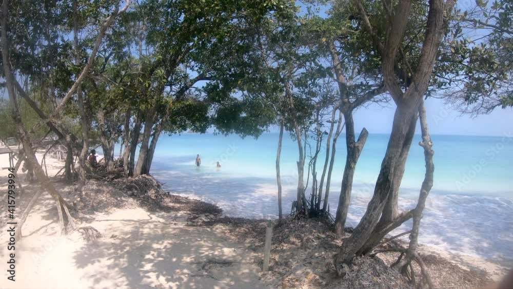A beach shore with white sand and trees with a clear, transparent and turquoise water ocean of a paradisiac island close to Cartagena de Indias, Colombia.