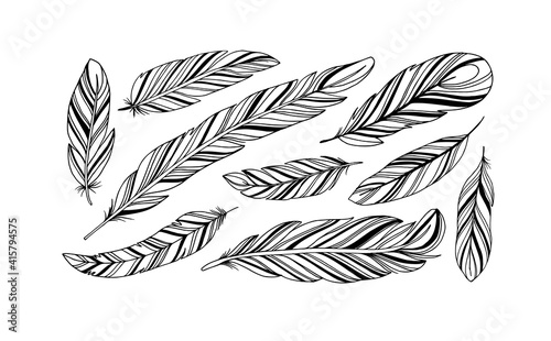 Hand drawn rustic ethnic decorative feathers. Tribal bird feathers collection. Vector ink illustration isolated on white background. Black and white geometric ornament, graphic design element.