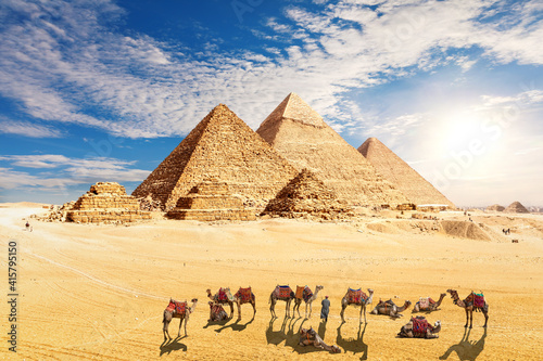  amel caravan resting near the Pyramids of Egypt in the desert, Giza