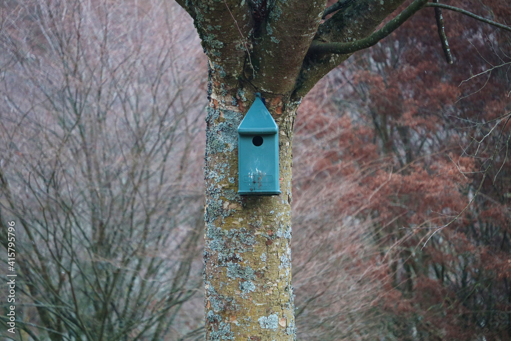 Fototapeta premium Une maison verte pour oiseaux sur un arbre