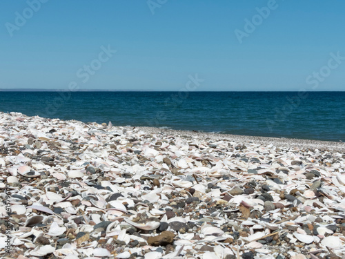 Playa de conchillas con el mar de fondo