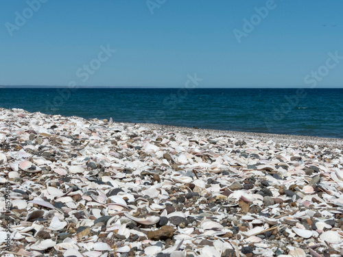 Fototapeta Naklejka Na Ścianę i Meble -  Playa de conchillas con el mar de fondo