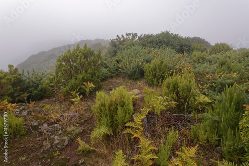 Portugal - Madeira - Wanderparkplatz Achada do Teixeira im Nebel photo