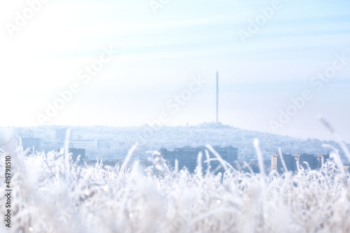 Urban winter landscape with frost