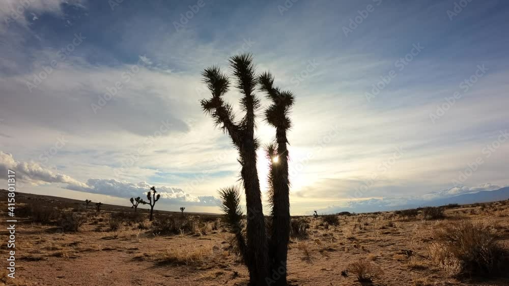 Dynamic cloud formations and a golden sunset over Joshua trees on the Mojave Desert landscape - time lapse Dynamic cloud formations and a golden sunset over Joshua trees on the Mojave Desert landscape - time lapse