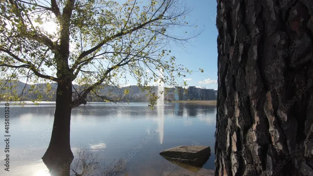 Approaching peaceful calm lake with trees, on a sunny day.