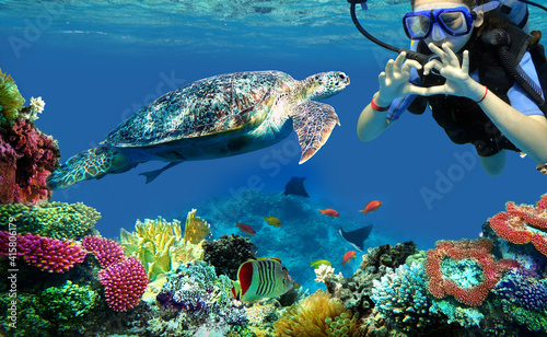 Obraz na plátně diver girl and turtle underwater
