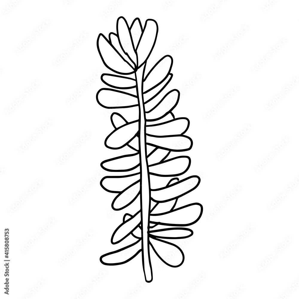 Cute doodle Succulent flower isolated on white background. Cartoon plant icon. Bush isolated. Cute doodle Succulent flower isolated on white background. Cartoon plant icon. Bush isolated.