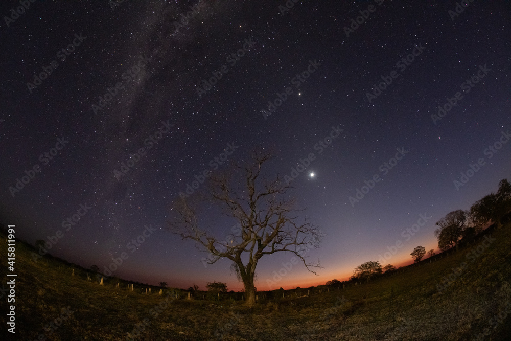 Noite no Pantanal Norte céu estrelado