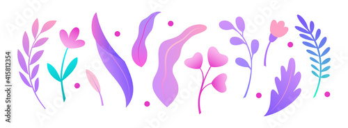 Set of abstract colorful leaves . Vector elements for your design. Botanical illustration.