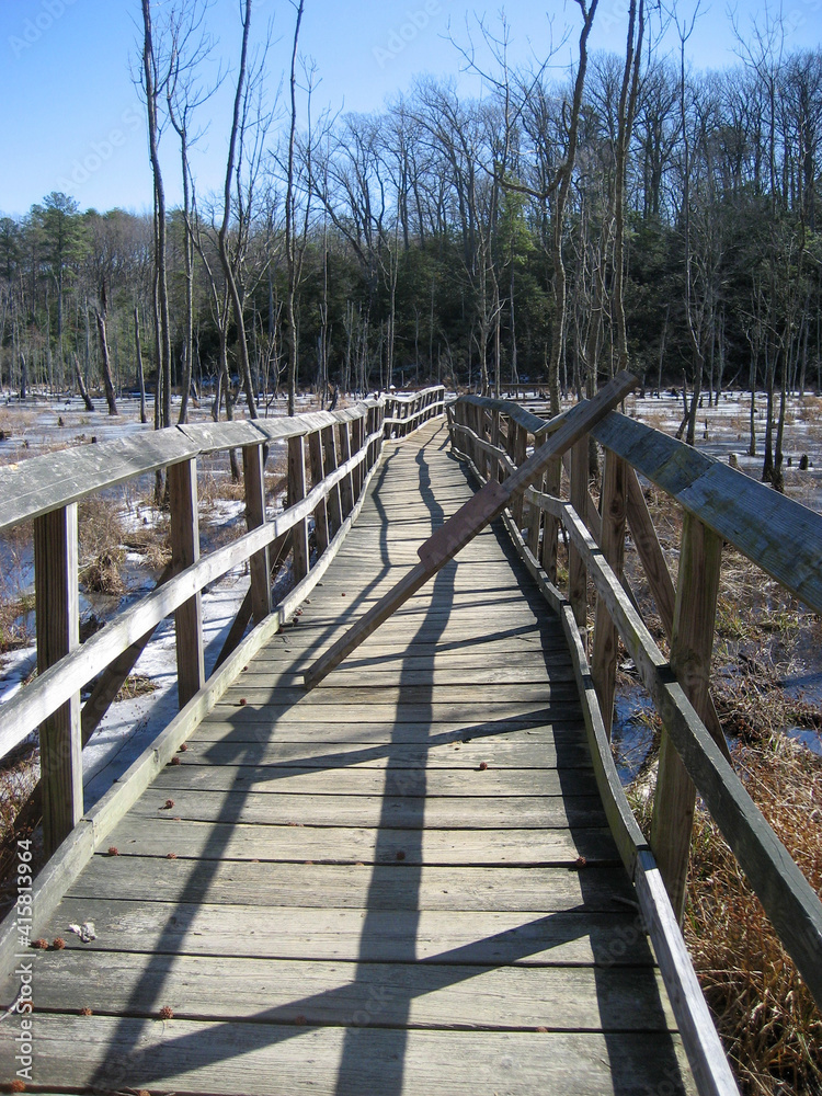 Fototapeta premium Bridge Over Frozen Water