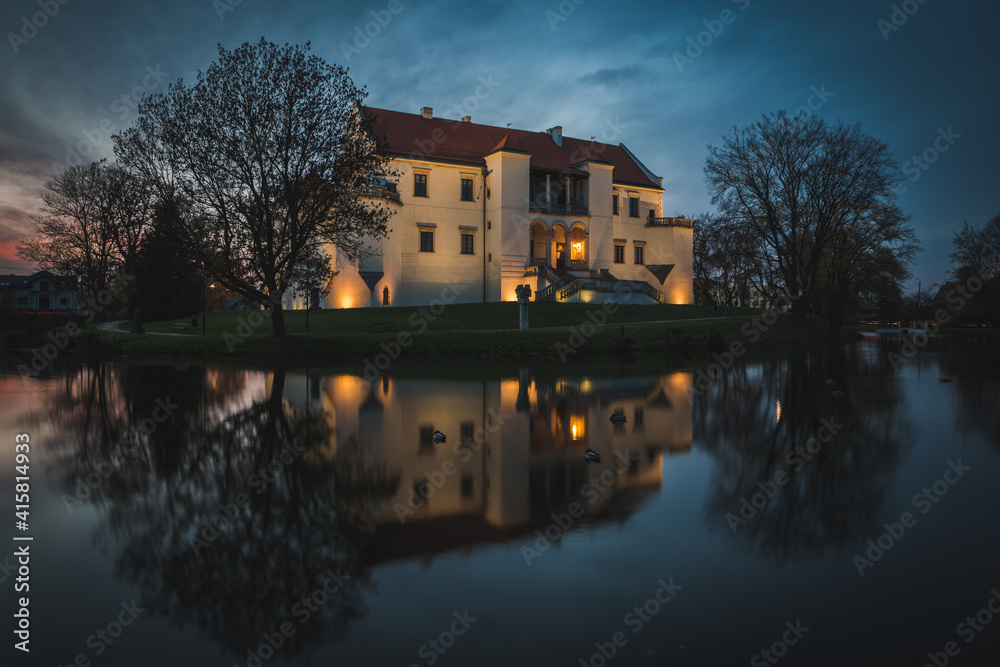 Obraz premium Szydłowiec - castle