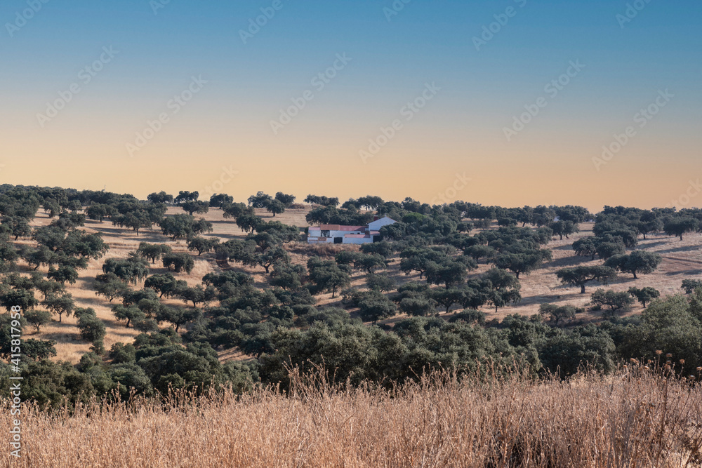 agricultural landscapes in southern Andalusia with a clear sky