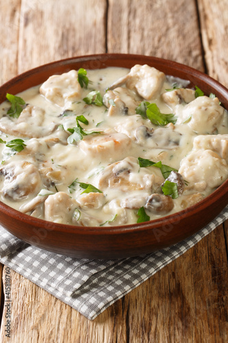 Romanian Creamed Chicken Ciulama de pui closeup in the bowl on the table. Vertical photo