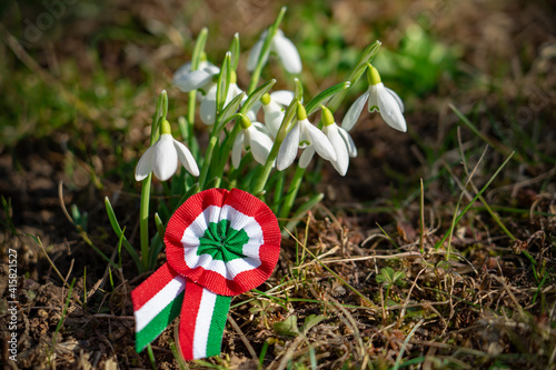 close up tricolor rosette symbol of the hungarian national day 15th of march with snowdrop fair maid flower photo