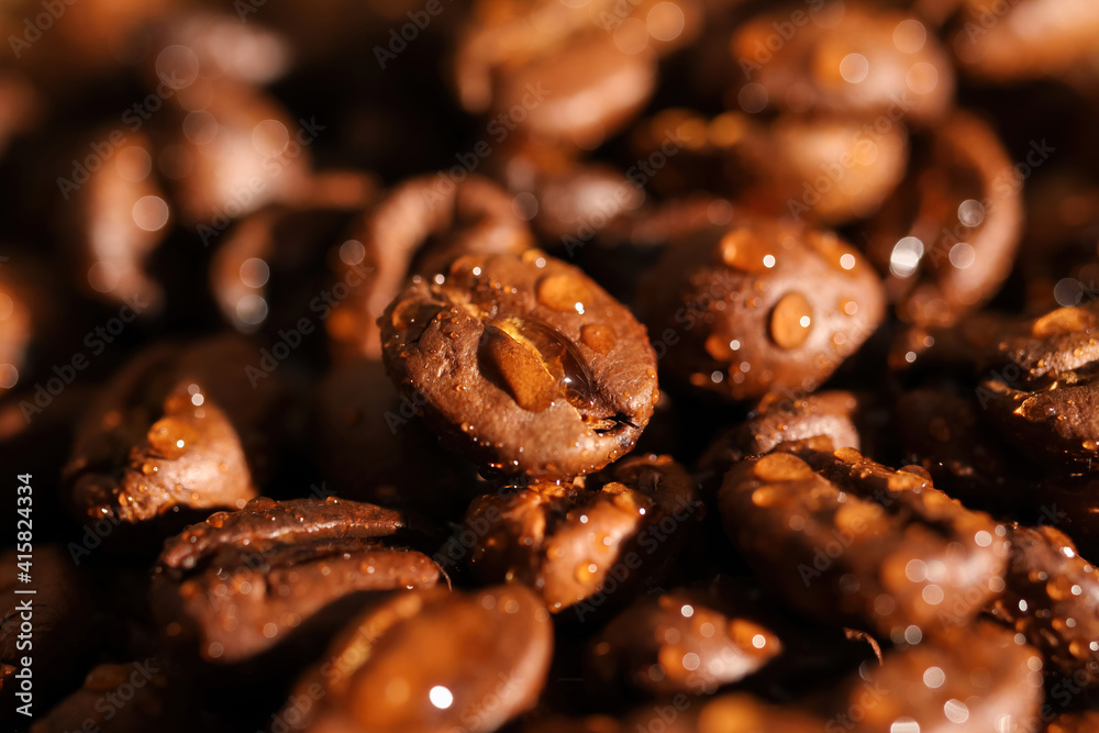 Macro closeup of pile fresh roasted organic wet coffee beans with water drops (focus on center) Macro closeup of pile fresh roasted organic wet coffee beans with water drops (focus on center)