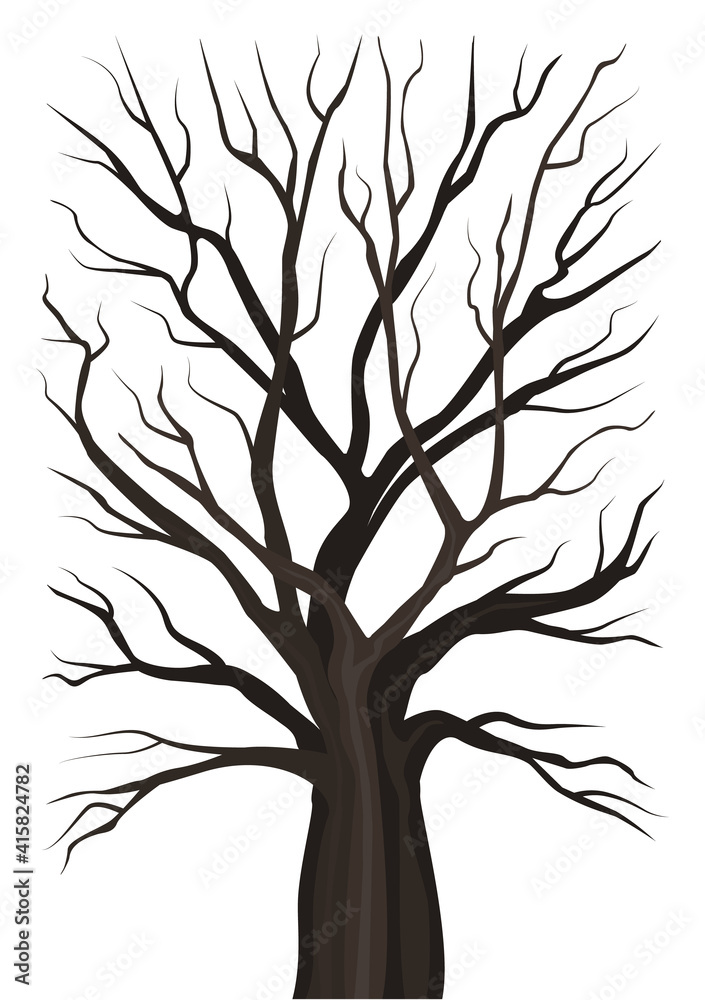 Obraz premium Old tree without leaves