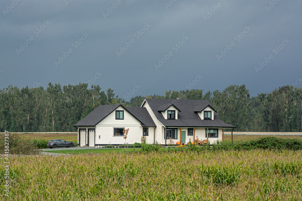 Brand new farmer's house in the middle of corn field Brand new farmer's house in the middle of corn field