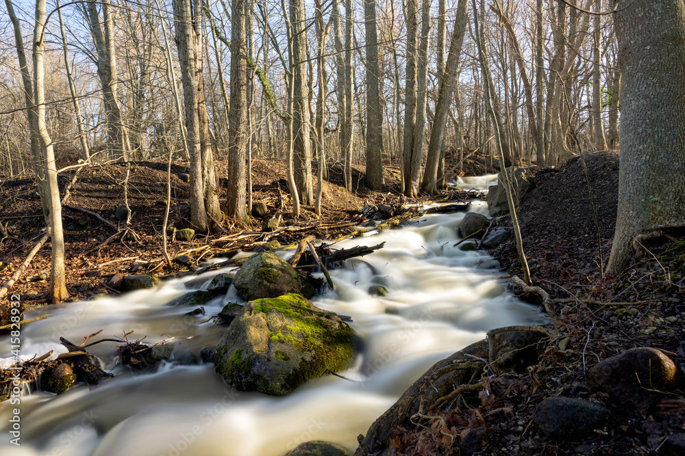 Sunny Wilderness: Flowing River in a Woodland Landscape