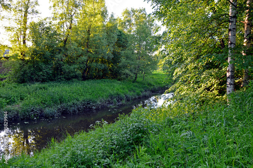 River. The banks of a small river overgrown with grass. Early morning in the village. Sunny morning.