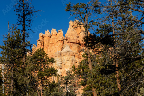 Trees Frame Bryce Canyon Wall along the Navajo Trail in Bryce Canyon National Park, Utah 