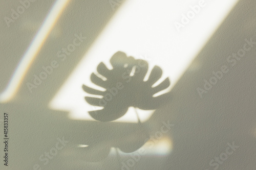Tropical Monstera leaf shadow on empty yellow wall. Summer background of shadows. Close up. Copy space.