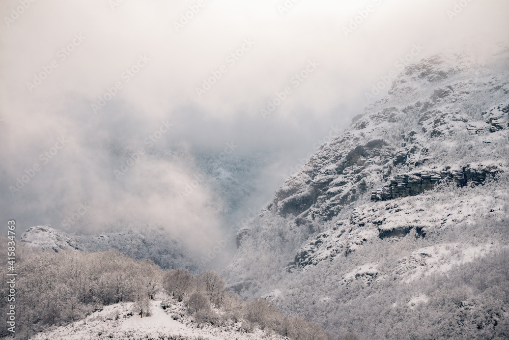 Fog and snow between cliffs and forests