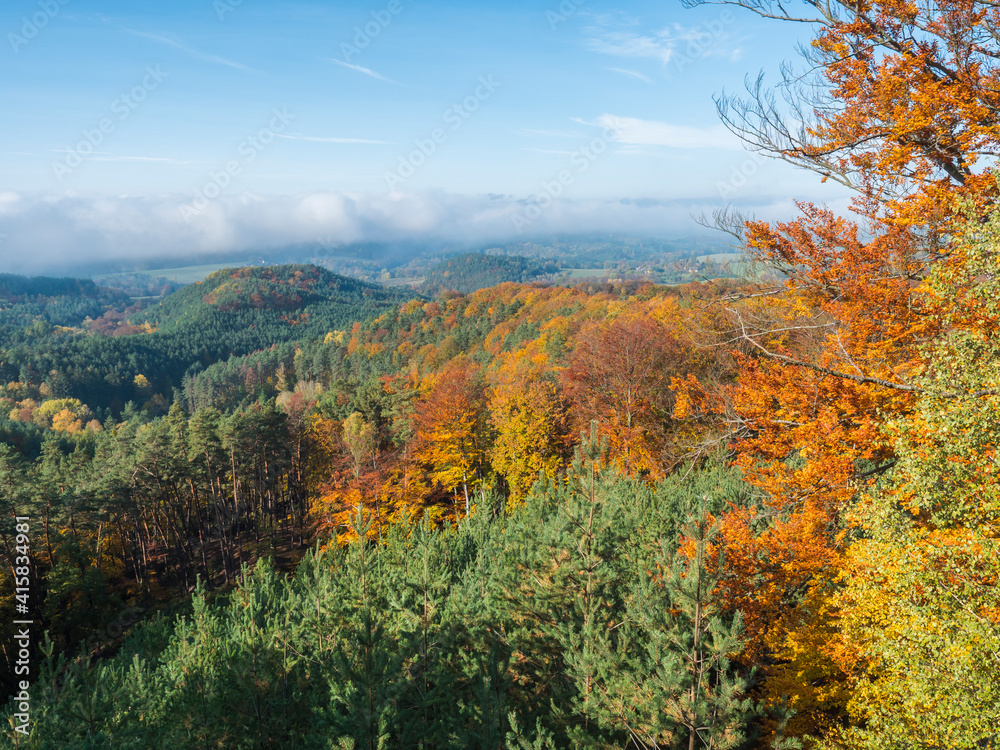 view of colorful vivid deciduous beech and pine tree forest and hills from viewpoint called Vyhlidka na Rip at nature park Kokorinsko, Czech republic. Autumn sunny day.