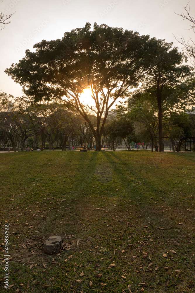 Obraz premium sunset in the park