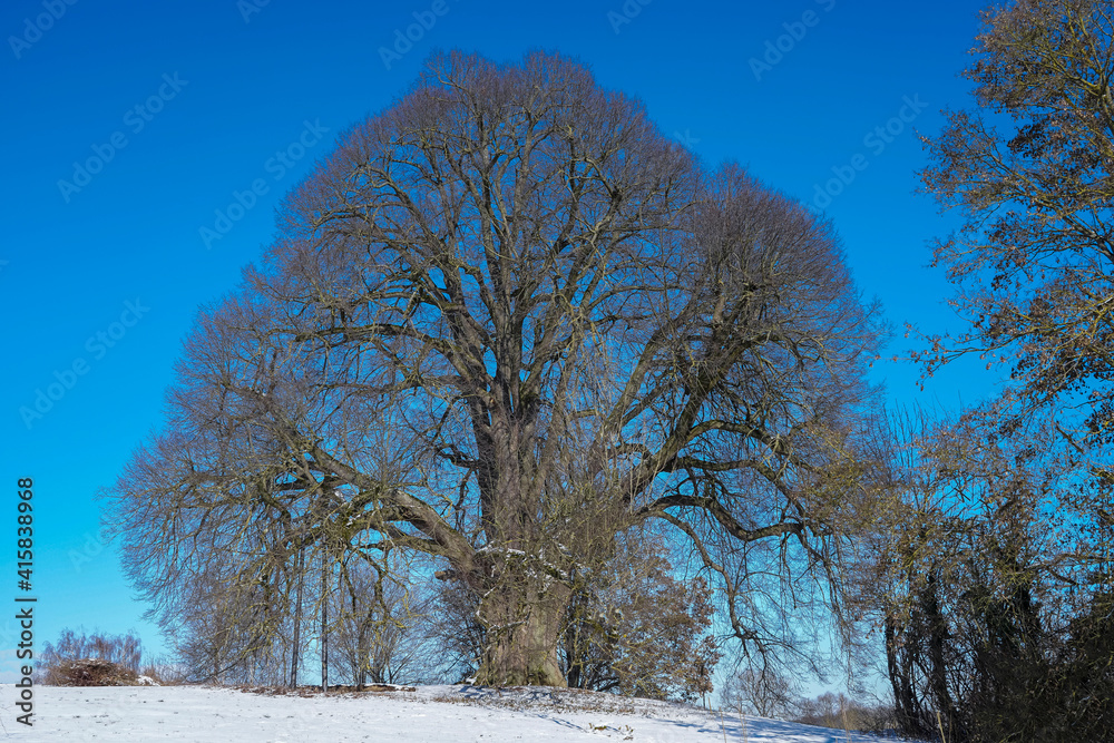 Fototapeta premium Annaline bei Heilbronn im Winter