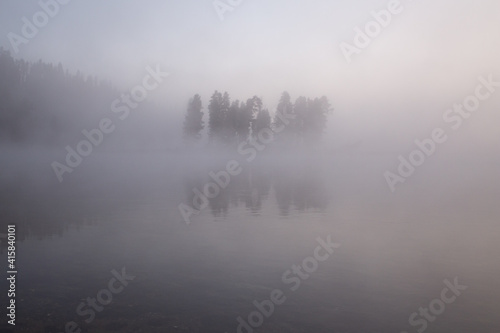 misty morning in the fog yellowstone national park