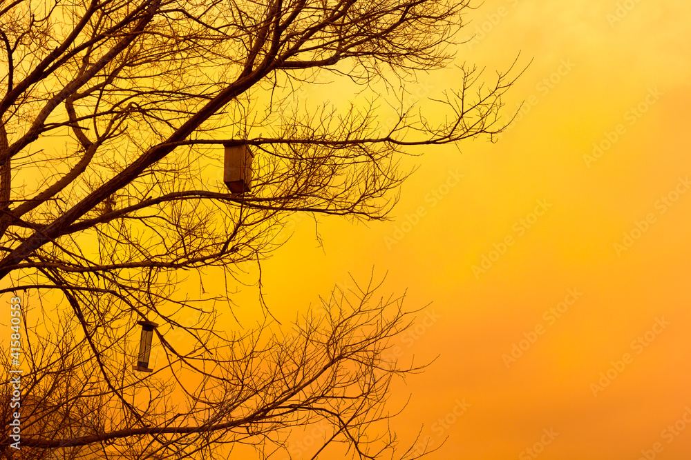 Obraz premium BIRD HOUSE