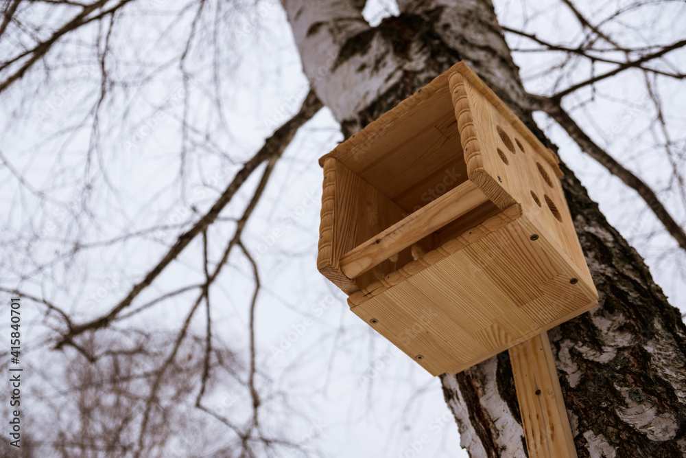 Naklejka premium Feeders for birds in the city park