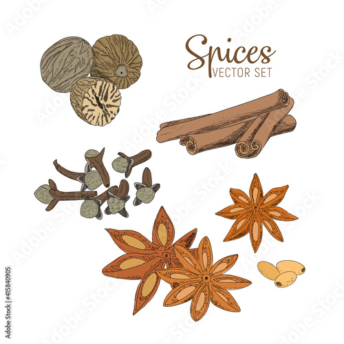 A set of spices - cinnamon, star anise, cloves, nutmeg. Vector sketch illustration.