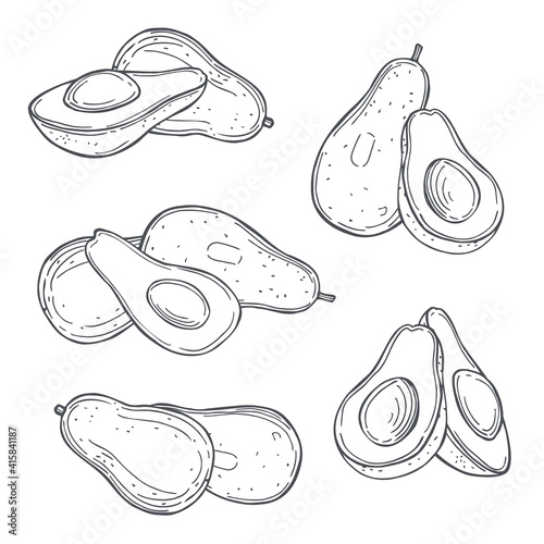 Tropical fruits. Vector  illustration