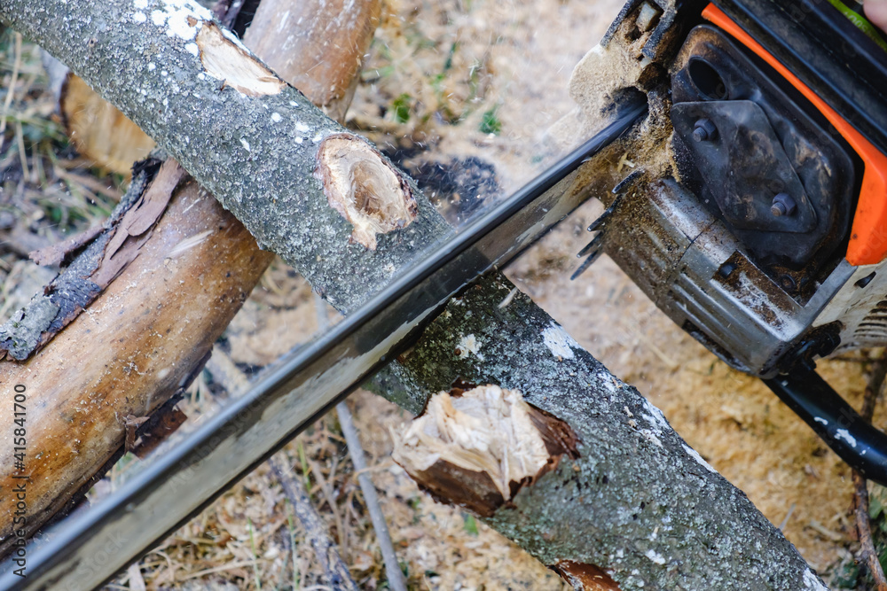 Chainsaw. Close-up of woodcutter sawing chain saw in motion, sawdust fly to sides. Chainsaw. Close-up of woodcutter sawing chain saw in motion, sawdust fly to sides.