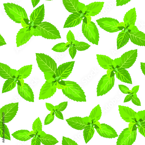 Mint leaves vector seamless pattern