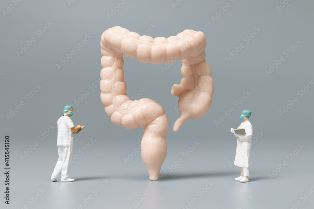 Doctor and nurse observing and discussing about human large intestine - obrazy, fototapety, plakaty 