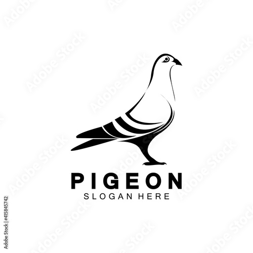 Pigeon bird logo vector icon illustration design template