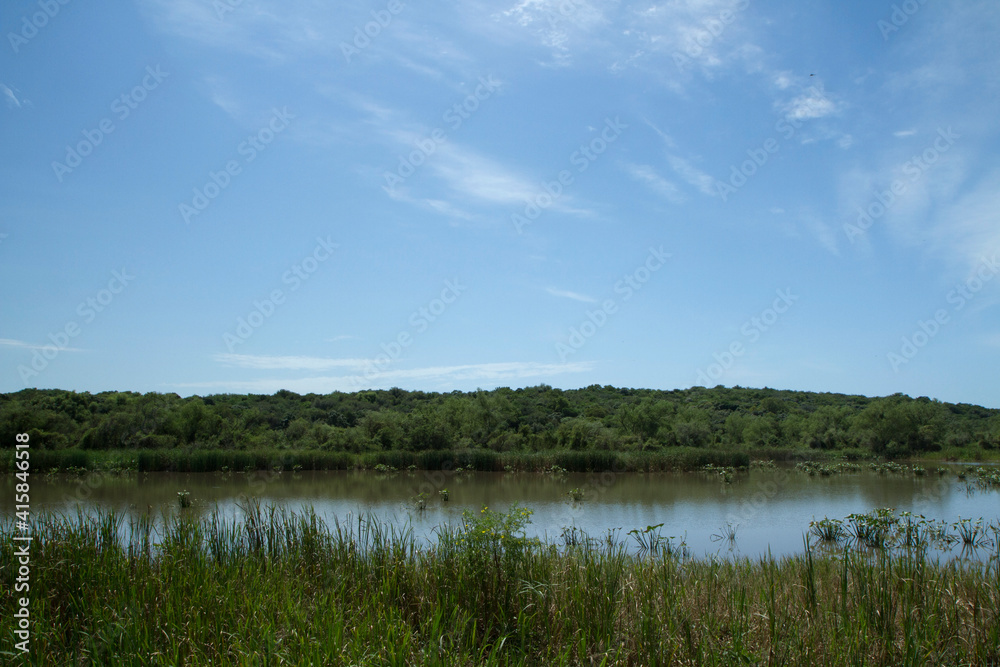 Tropical rainforest landscape. Panorama view of the beautiful green forest foliage, lake and reeds under a blue sky.