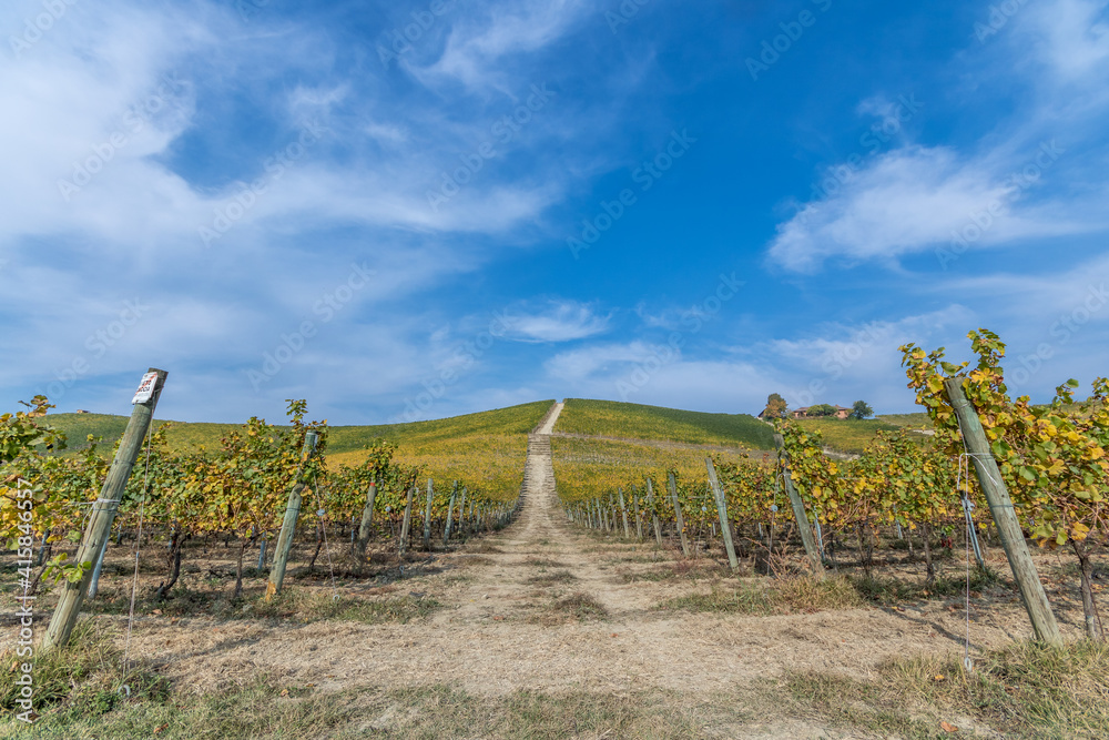 Obraz premium The Langhe - is a UNESCO World Heritage Site.